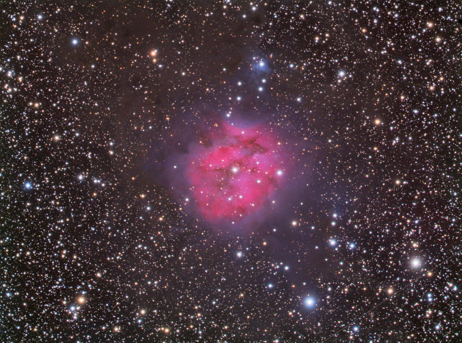 The Cocoon Nebula in Cygnus