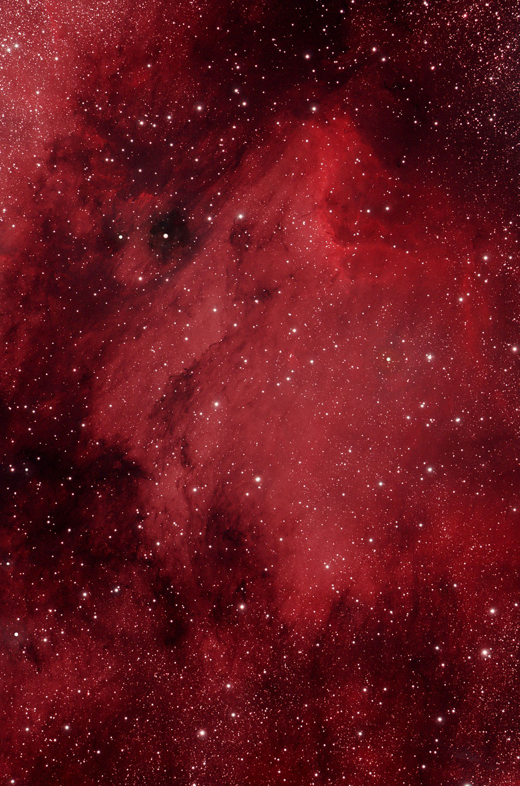 The Pelican Nebula