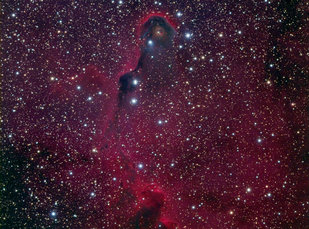 The Elephant Trunk Nebula